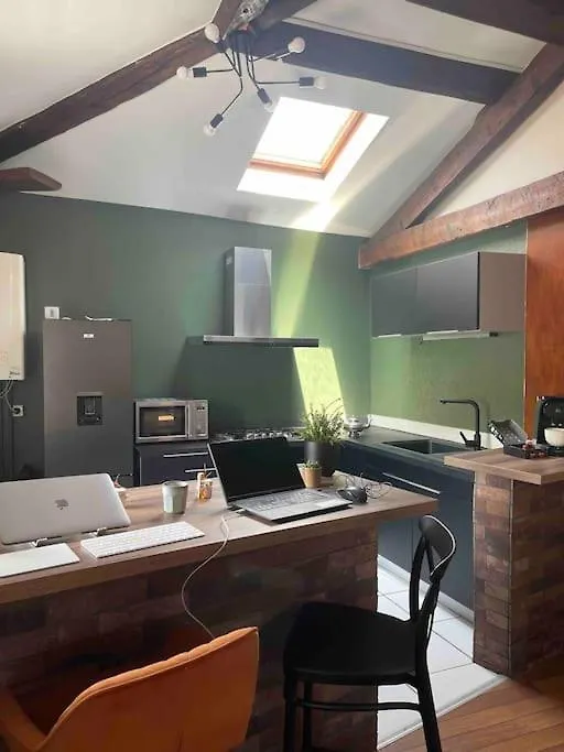 Appartement De Charme 80M2 Givors Apartment